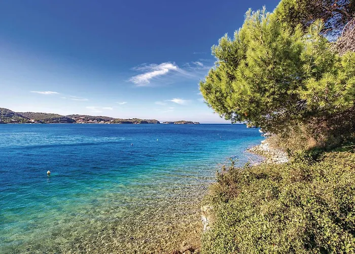 Apartament In With Wifi *